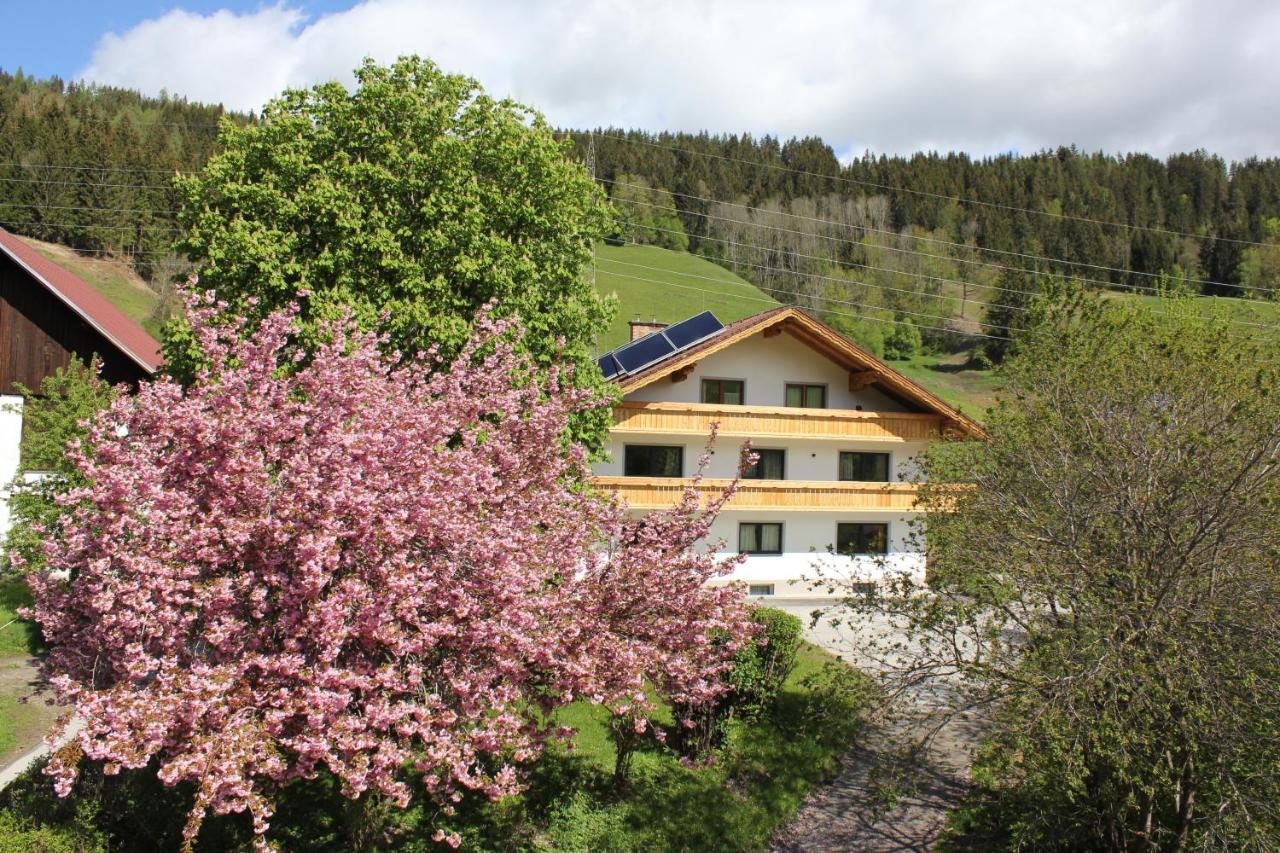Eiblhof Apartment Schladming Ngoại thất bức ảnh