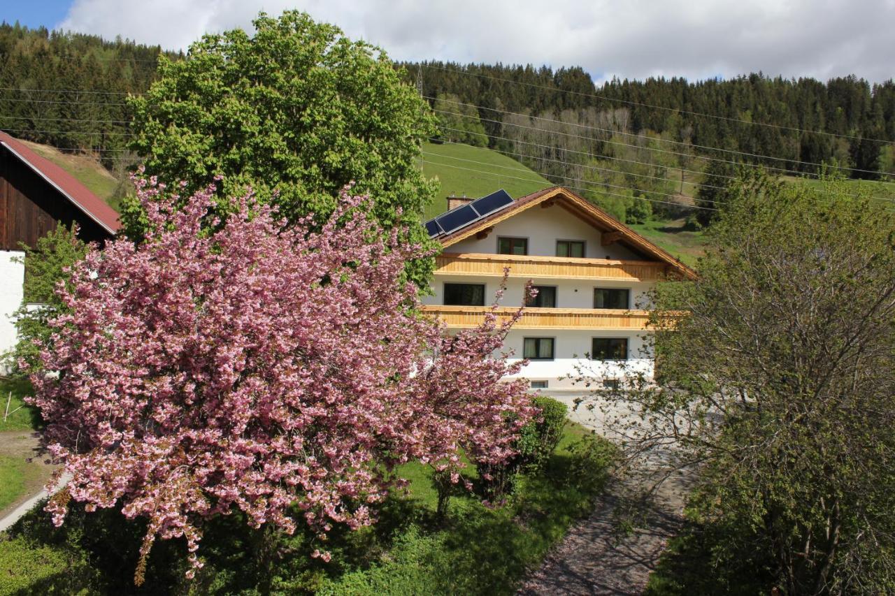 Eiblhof Apartment Schladming Ngoại thất bức ảnh