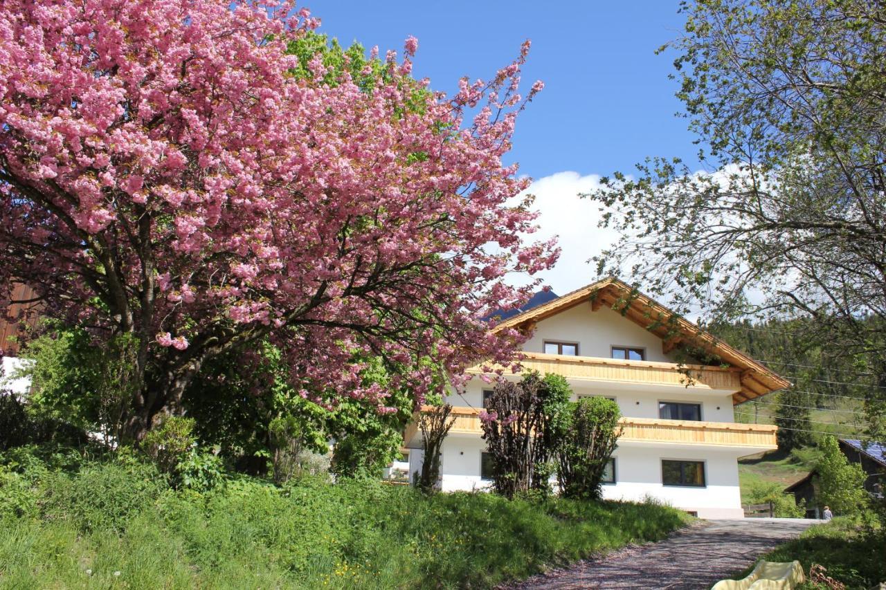Eiblhof Apartment Schladming Ngoại thất bức ảnh